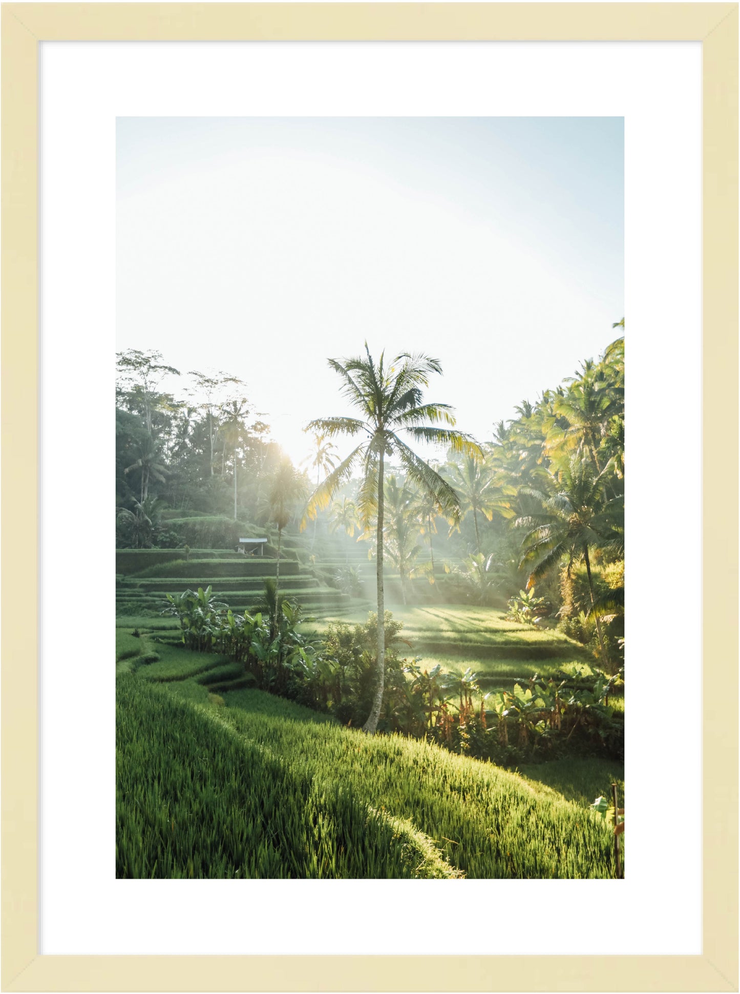Bali AM